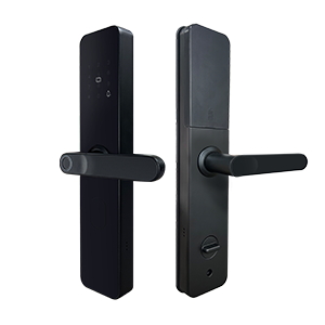 smart lock c6